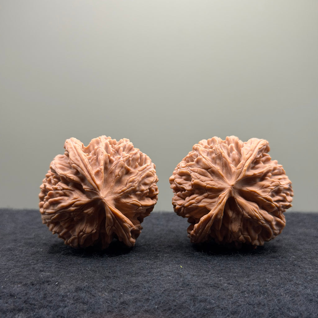 Apple Orchard Wenwan Walnut