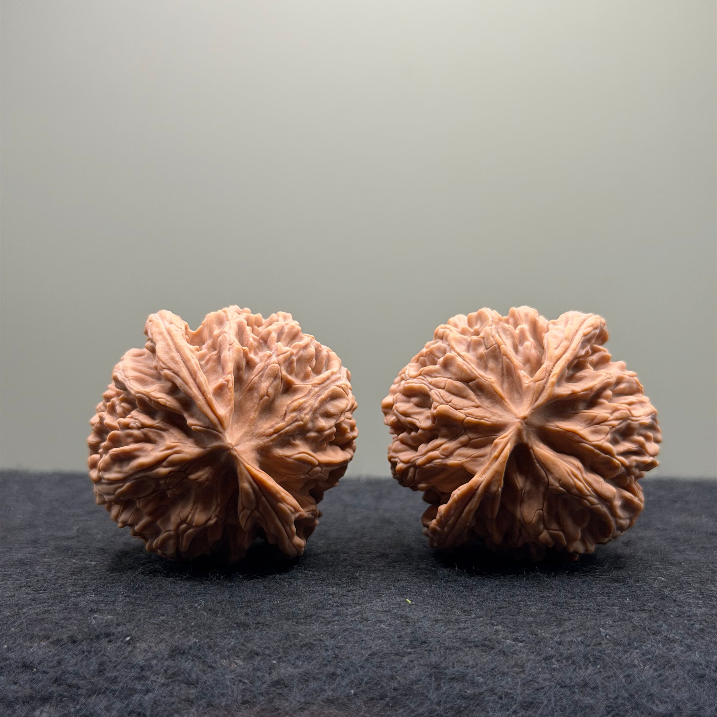 Apple Orchard Wenwan Walnut
