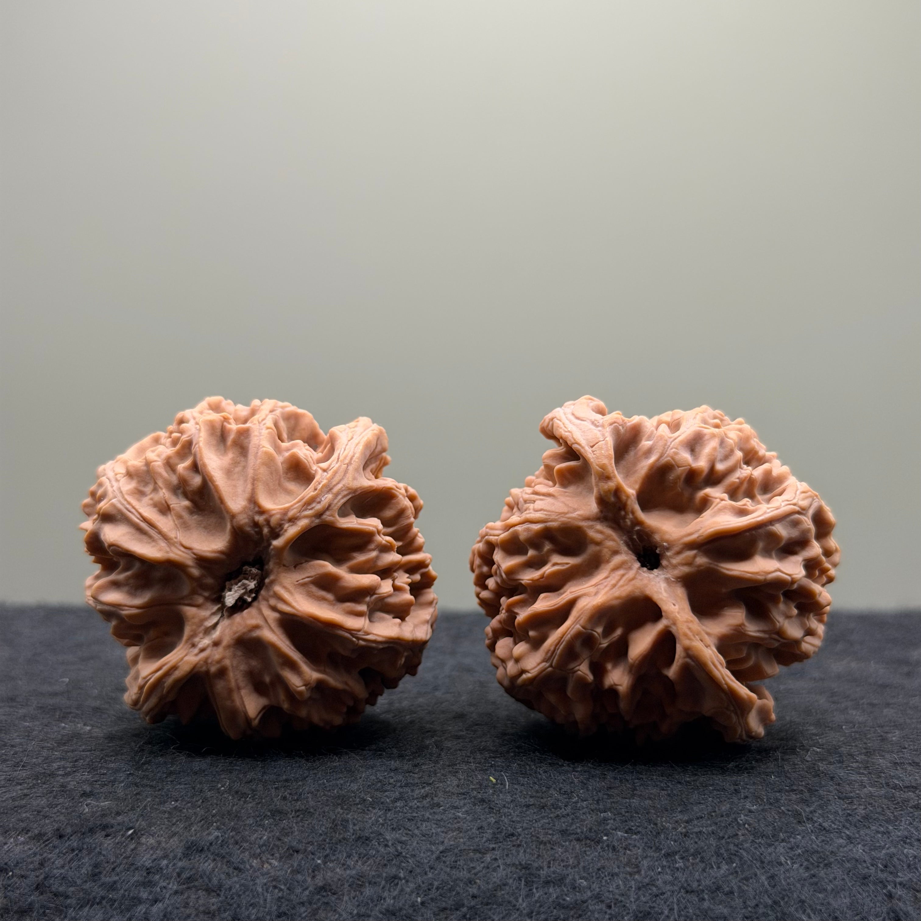 Apple Orchard Wenwan Walnut