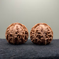 Apple Orchard Wenwan Walnut · 42mm · Natural · Premium Ritual