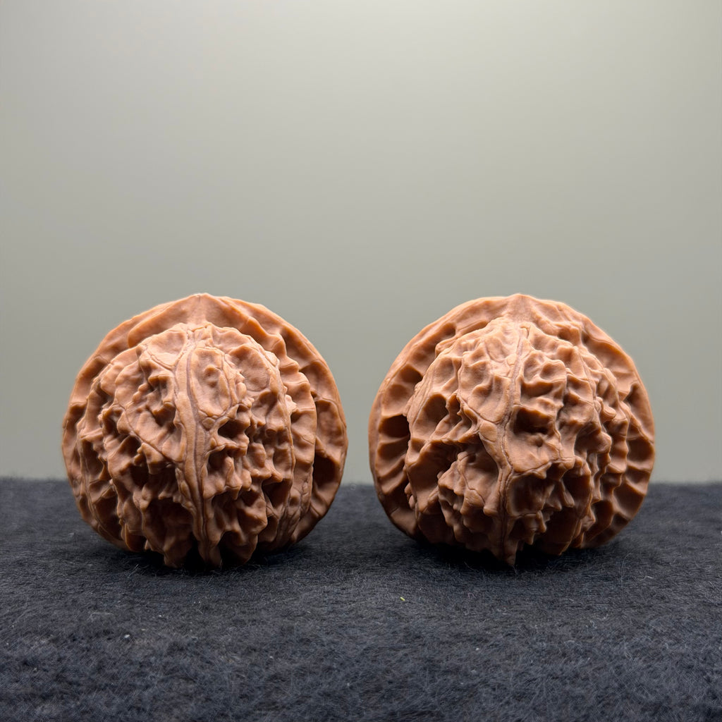 Apple Orchard Wenwan Walnut · 42mm · Natural · Premium Ritual