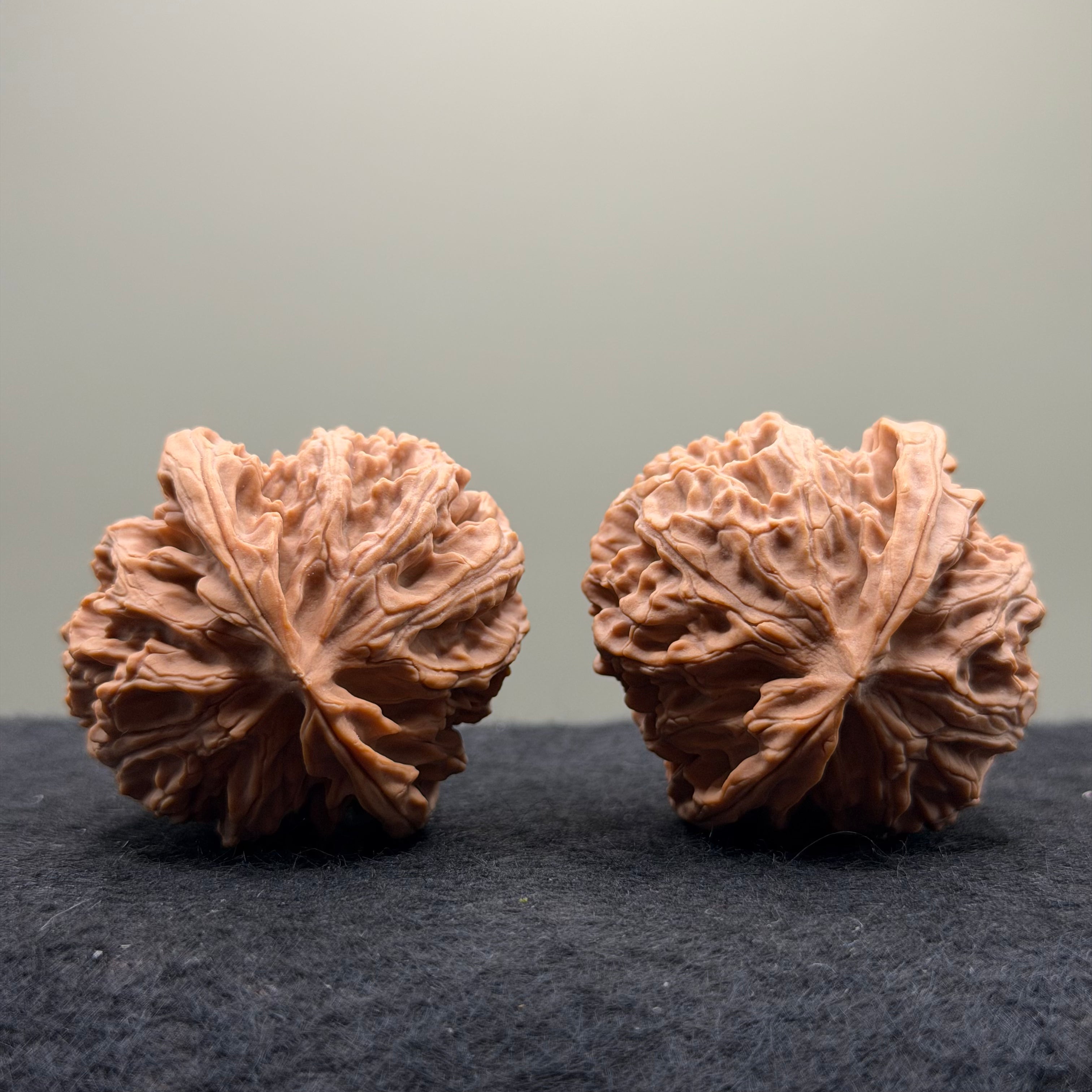 Apple Orchard Wenwan Walnut · 42mm · Natural · Premium Ritual