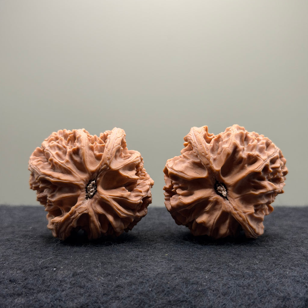 Apple Orchard Wenwan Walnut · 42mm · Natural · Premium Ritual