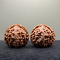 Apple Orchard Wenwan Walnut · 42mm · Natural · Premium Ritual