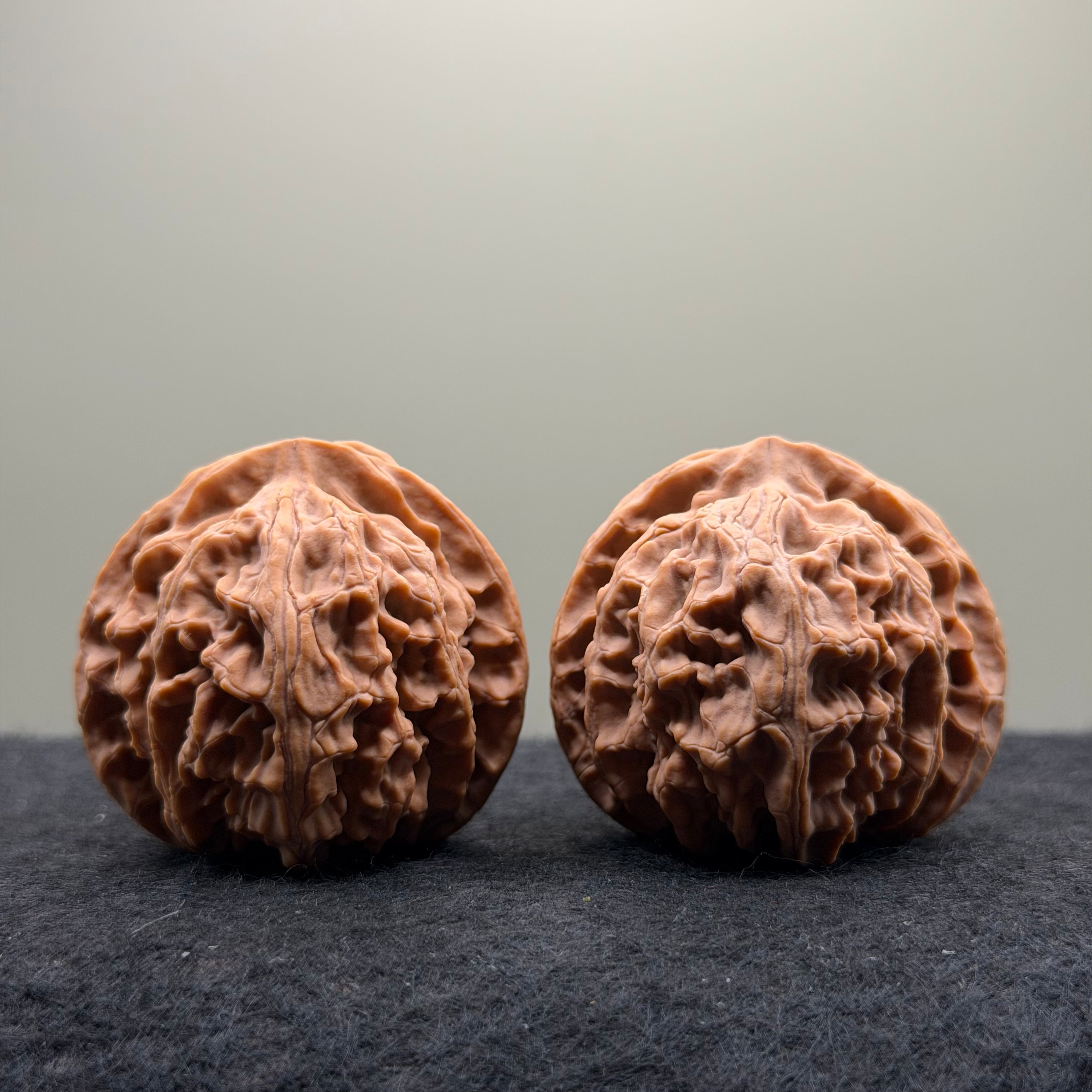 Apple Orchard Wenwan Walnut · 42mm · Natural · Premium Ritual