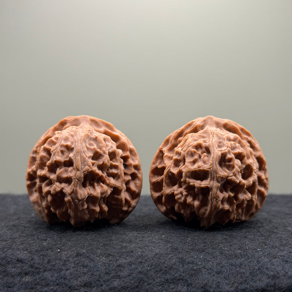 Apple Orchard Wenwan Walnut · 42mm · Natural · Premium Ritual