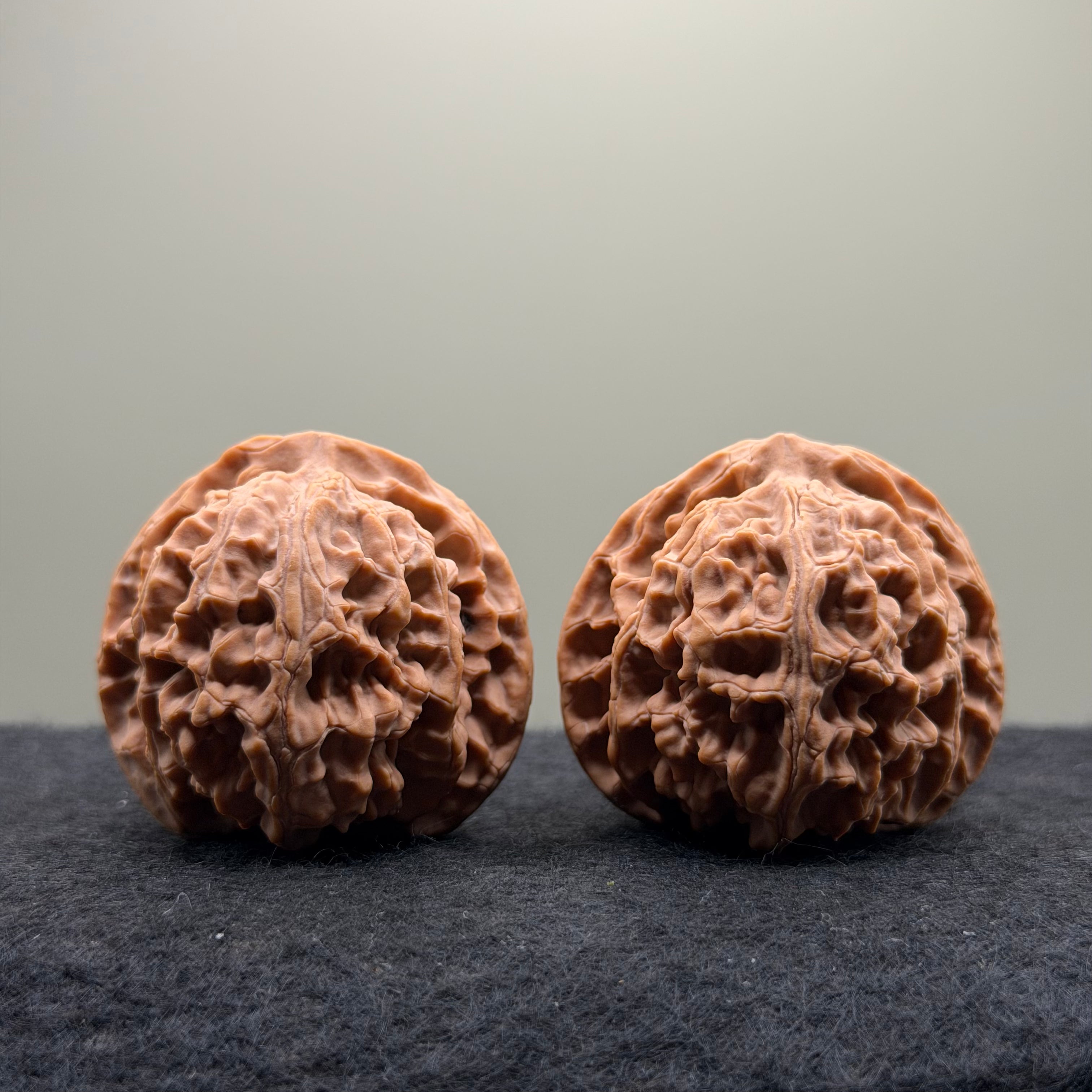 Apple Orchard Wenwan Walnut · 42mm · Natural · Premium Ritual