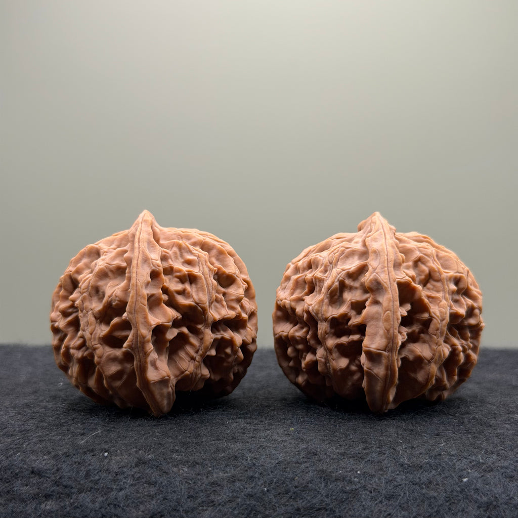 Apple Orchard Wenwan Walnut · 42mm · Natural · Premium Ritual