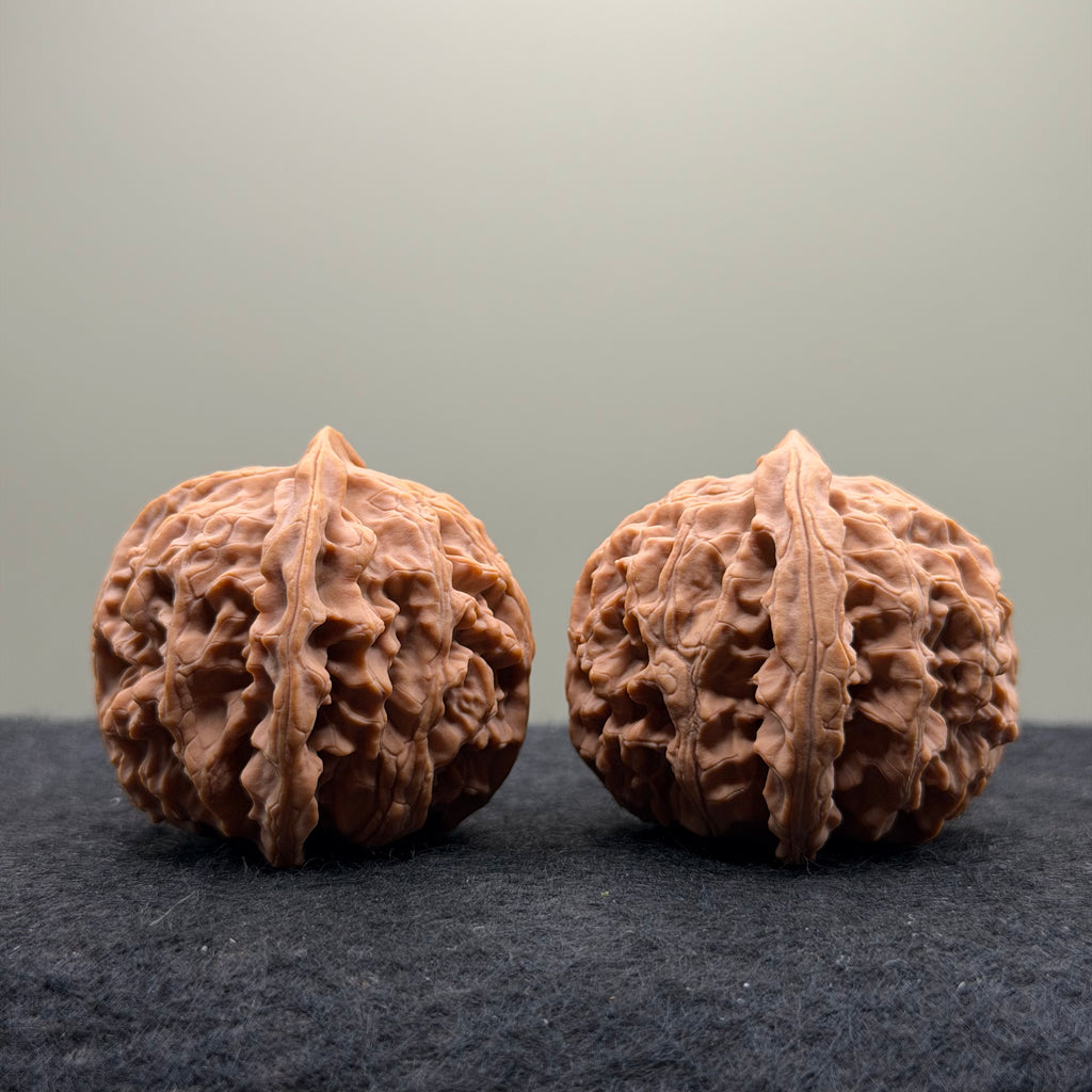Apple Orchard Wenwan Walnut · 42mm · Natural · Premium Ritual