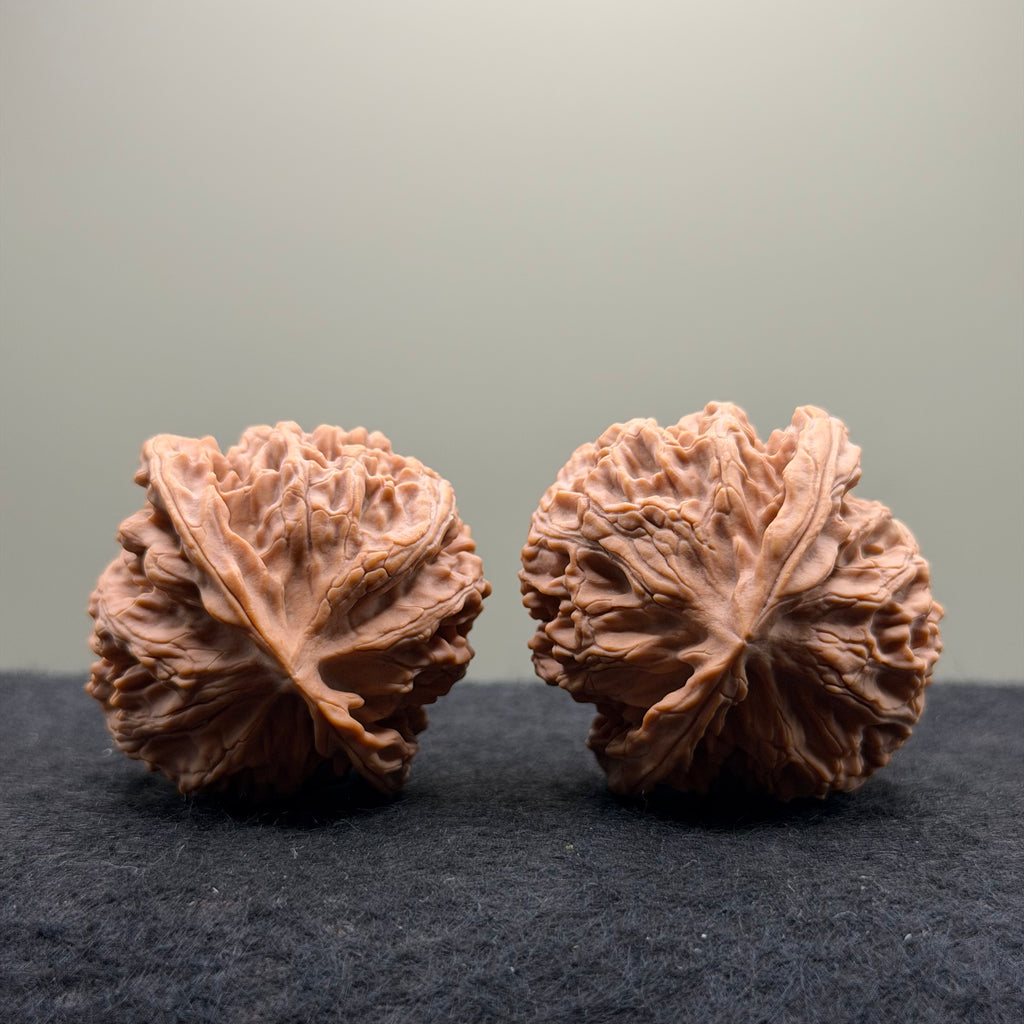 Apple Orchard Wenwan Walnut · 42mm · Natural · Premium Ritual