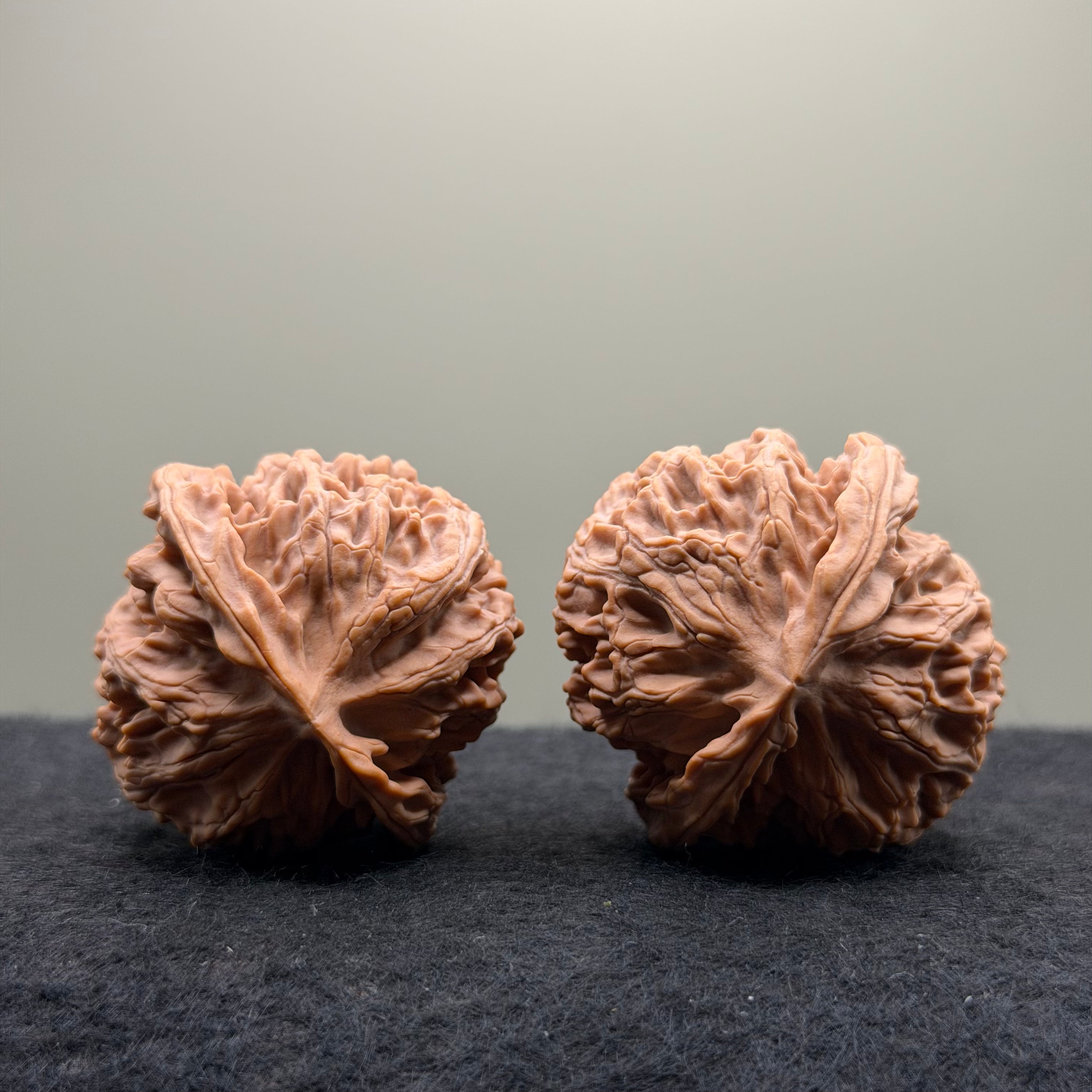 Apple Orchard Wenwan Walnut · 42mm · Natural · Premium Ritual