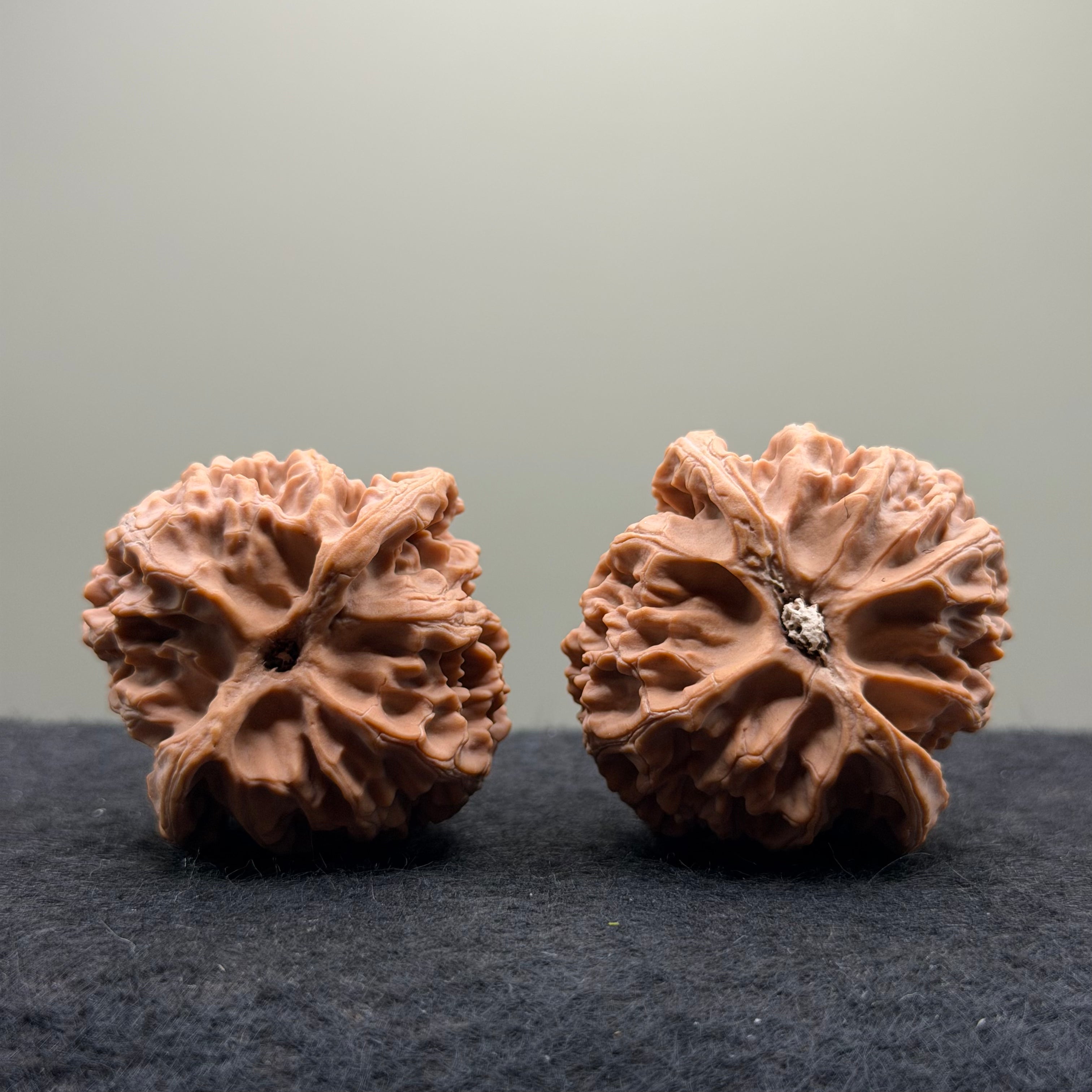 Apple Orchard Wenwan Walnut · 42mm · Natural · Premium Ritual