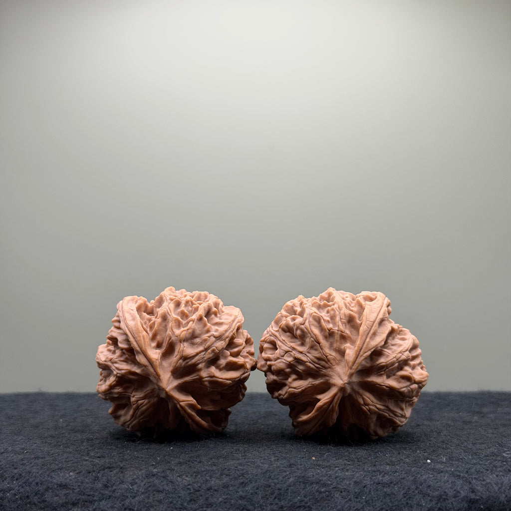 Apple Orchard Wenwan Walnut