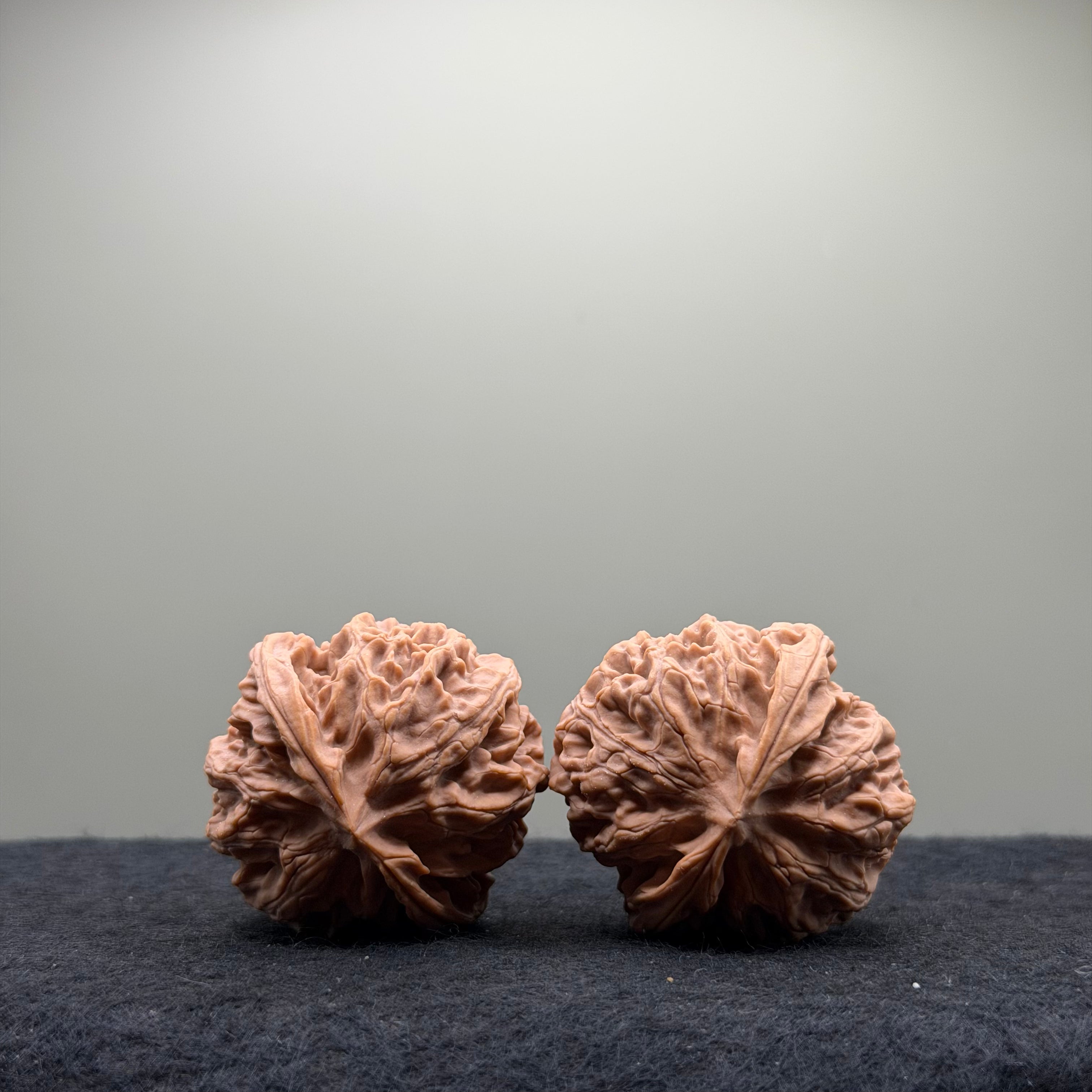 Apple Orchard Wenwan Walnut
