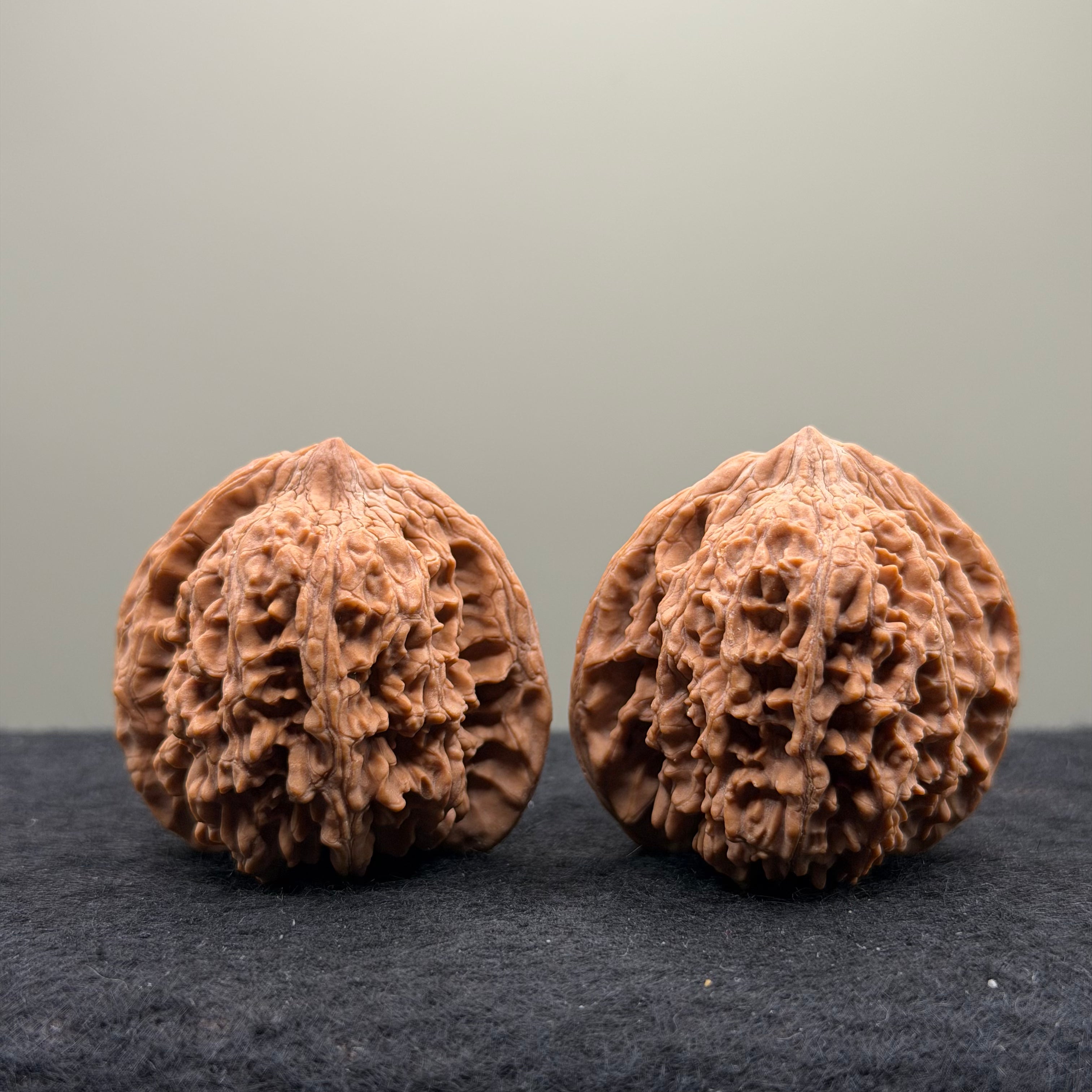 Starry Sky Wenwan Walnut