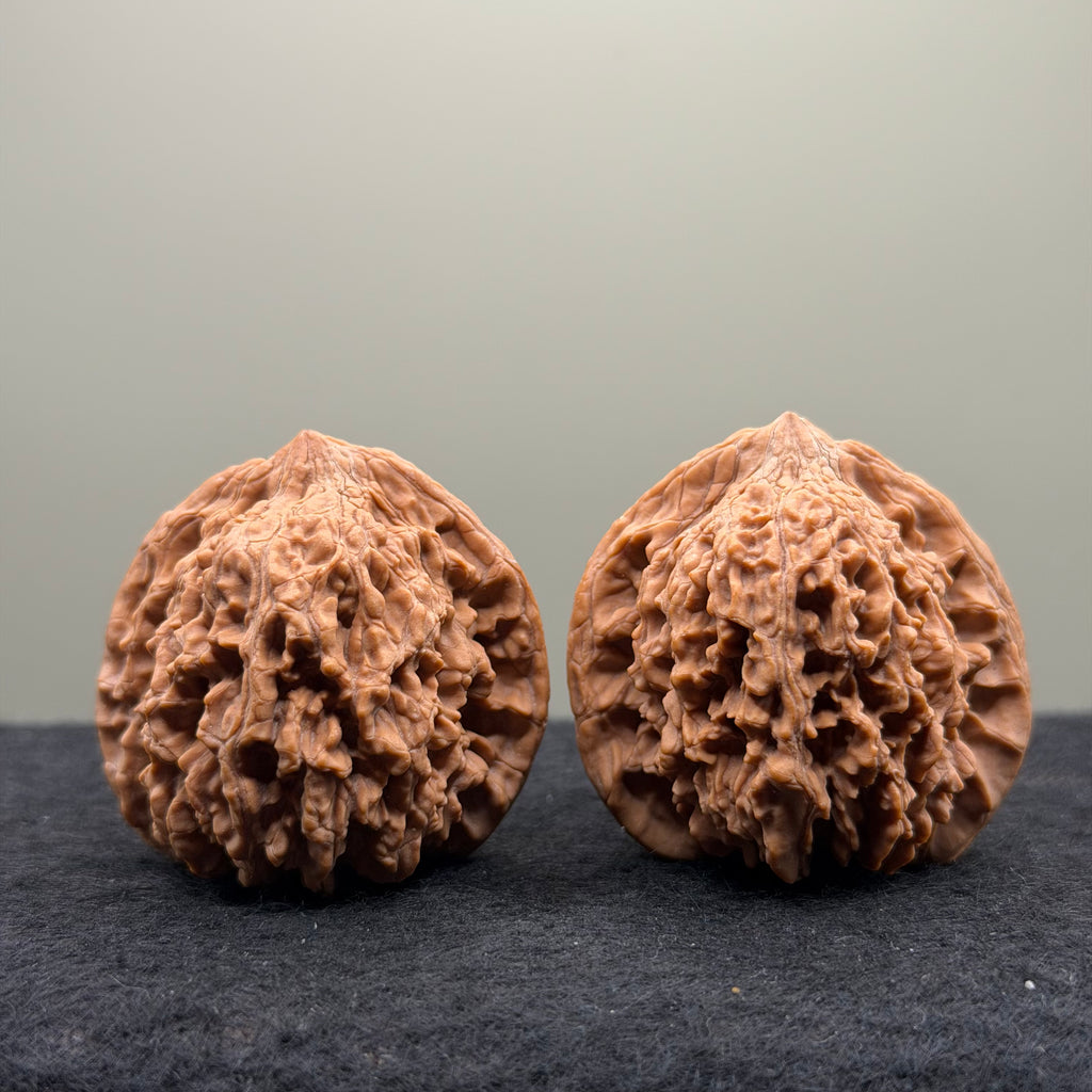 Starry Sky Wenwan Walnut