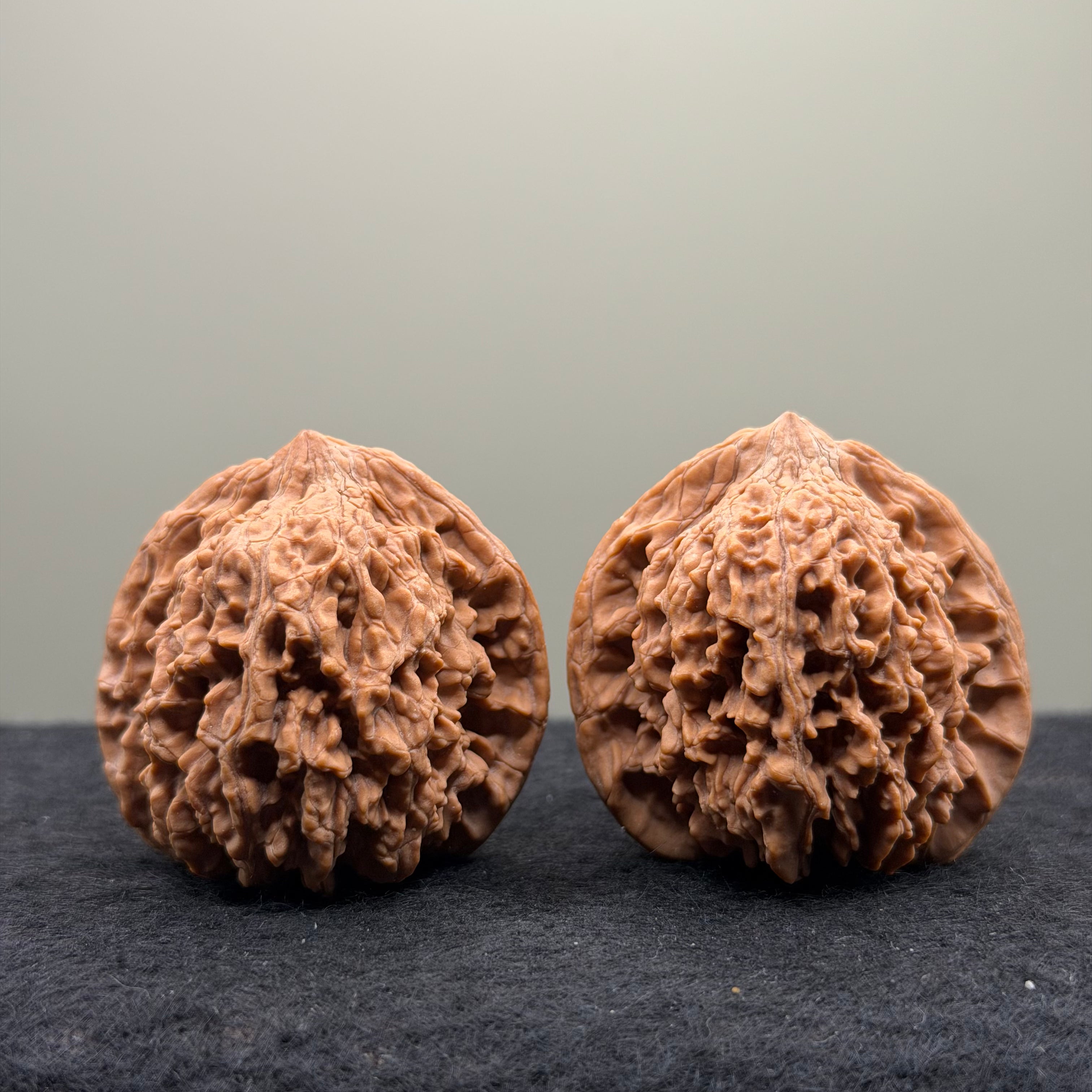 Starry Sky Wenwan Walnut