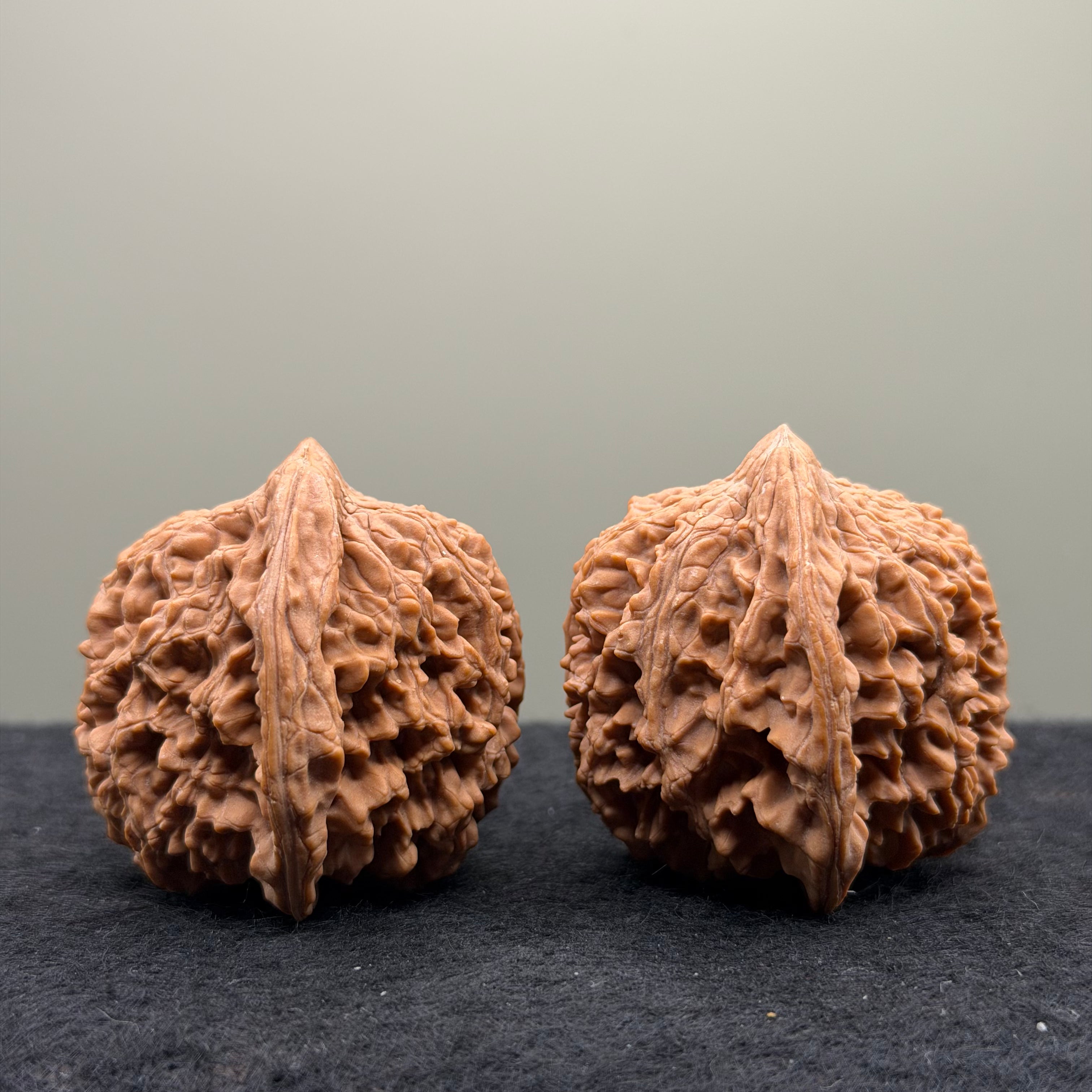 Starry Sky Wenwan Walnut
