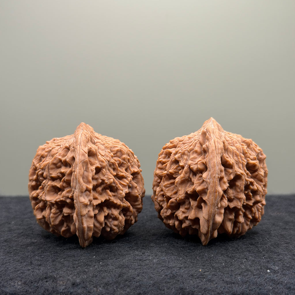 Starry Sky Wenwan Walnut