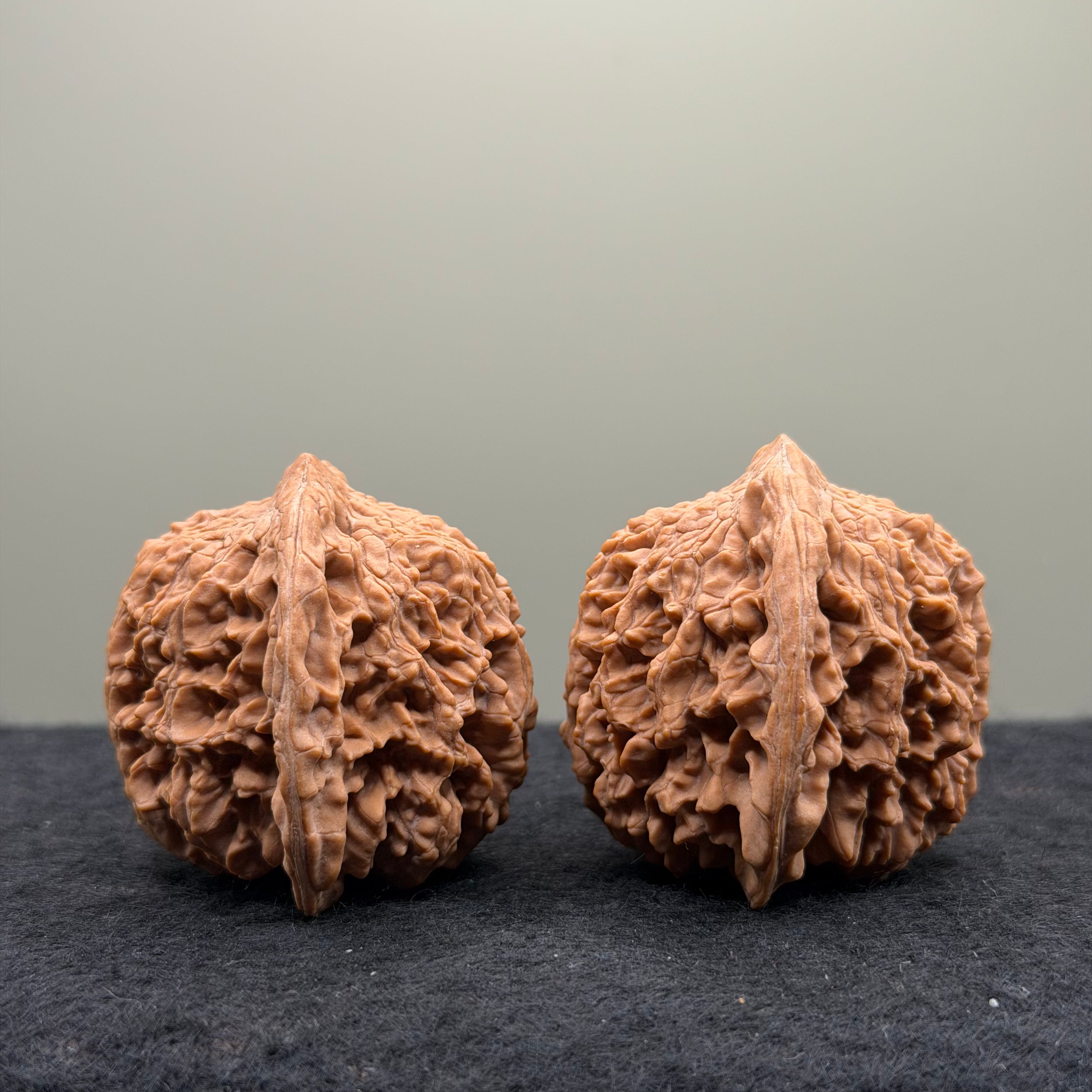Starry Sky Wenwan Walnut