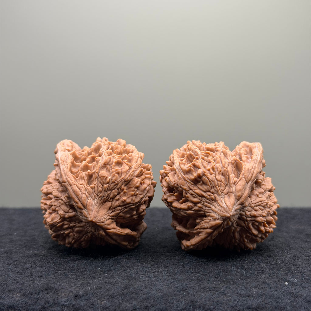 Starry Sky Wenwan Walnut