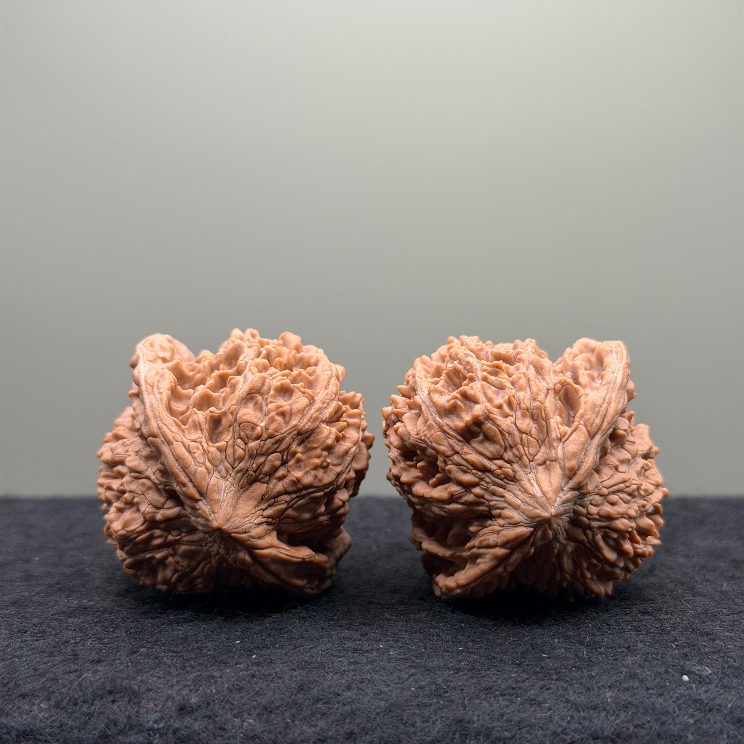 Starry Sky Wenwan Walnut