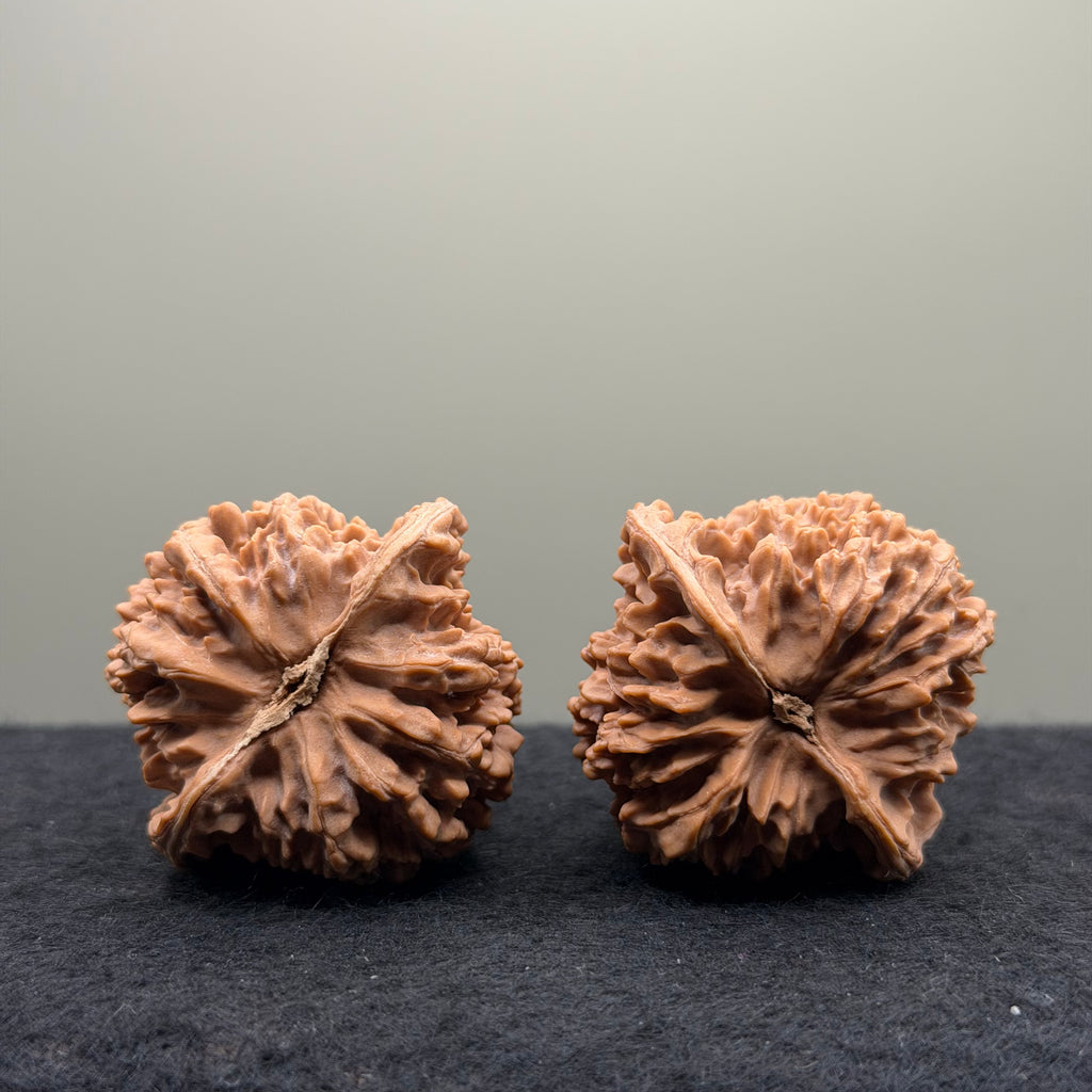 Starry Sky Wenwan Walnut