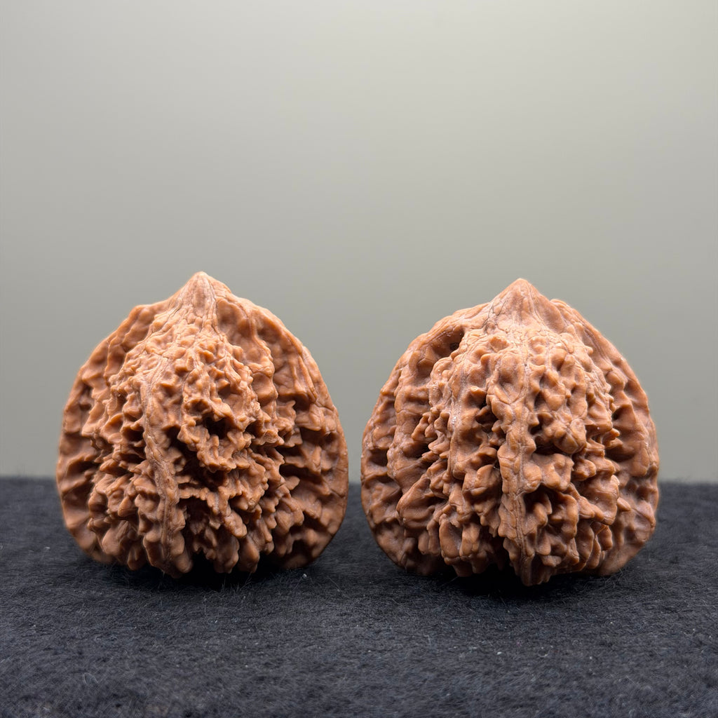 Starry Sky Wenwan Walnut