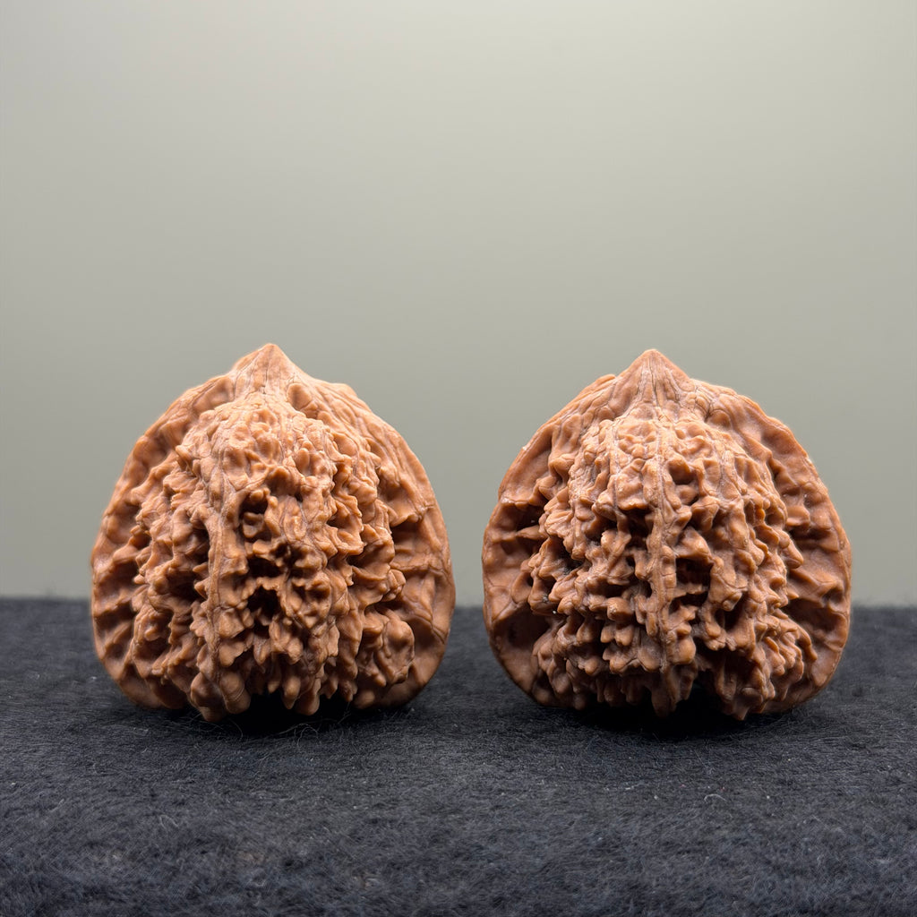 Starry Sky Wenwan Walnut