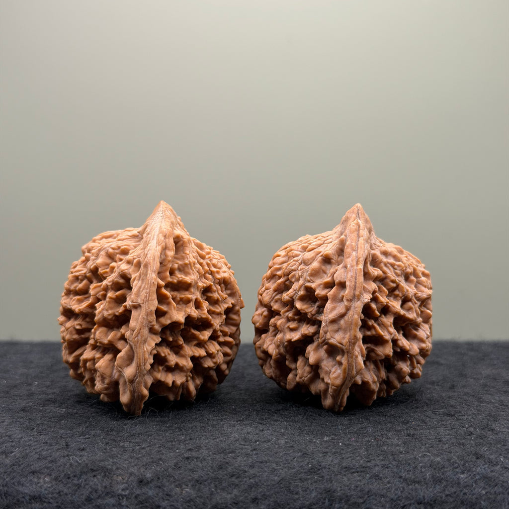 Starry Sky Wenwan Walnut