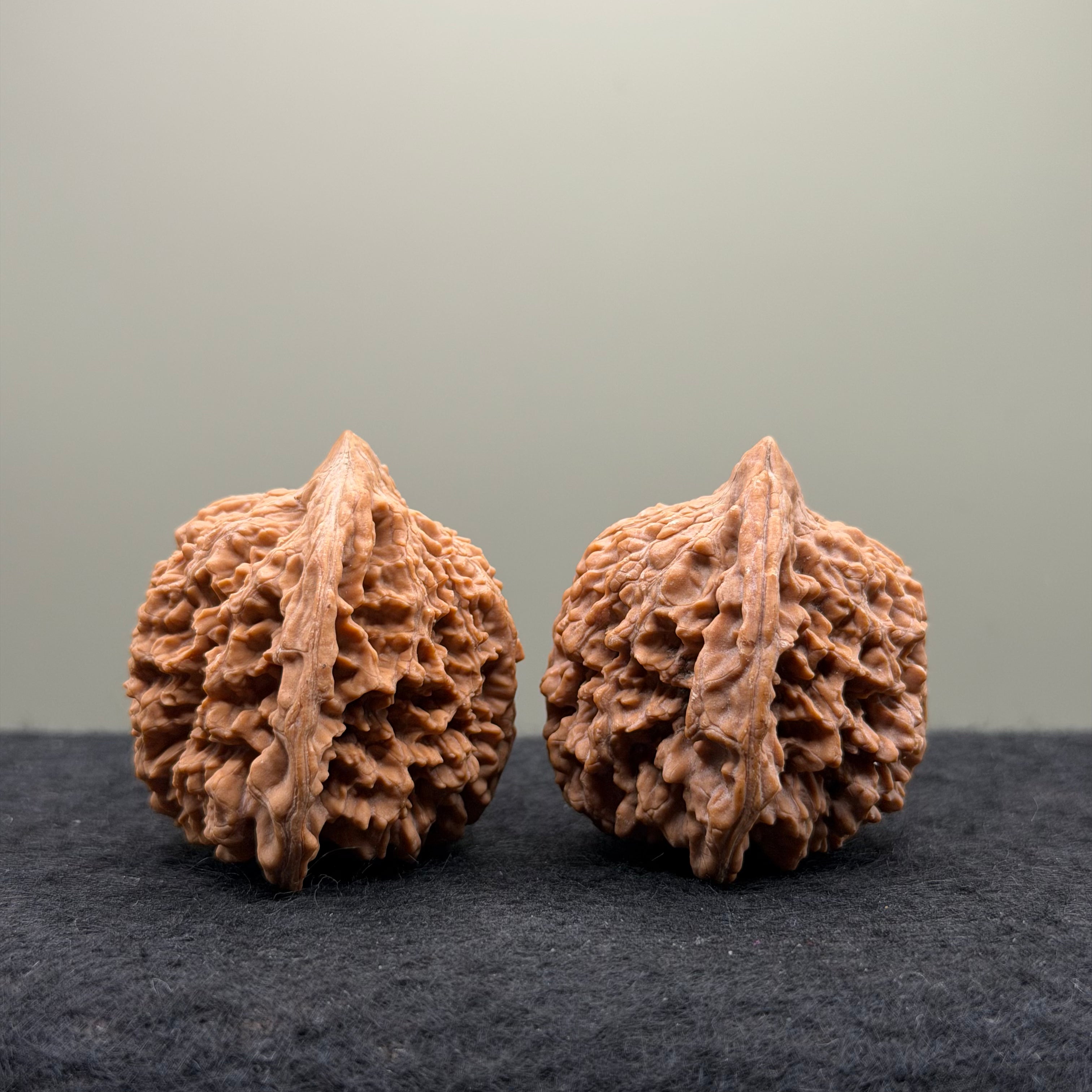 Starry Sky Wenwan Walnut