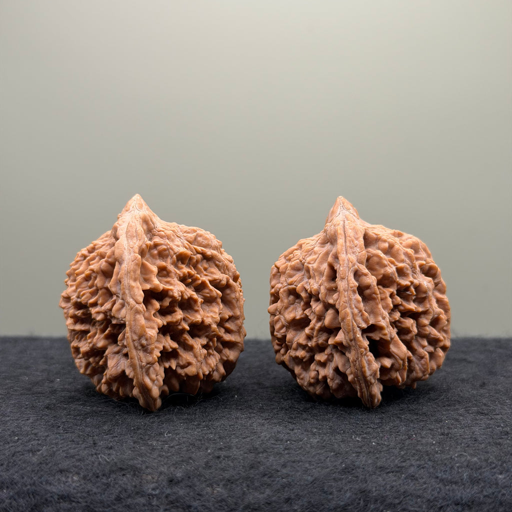 Starry Sky Wenwan Walnut