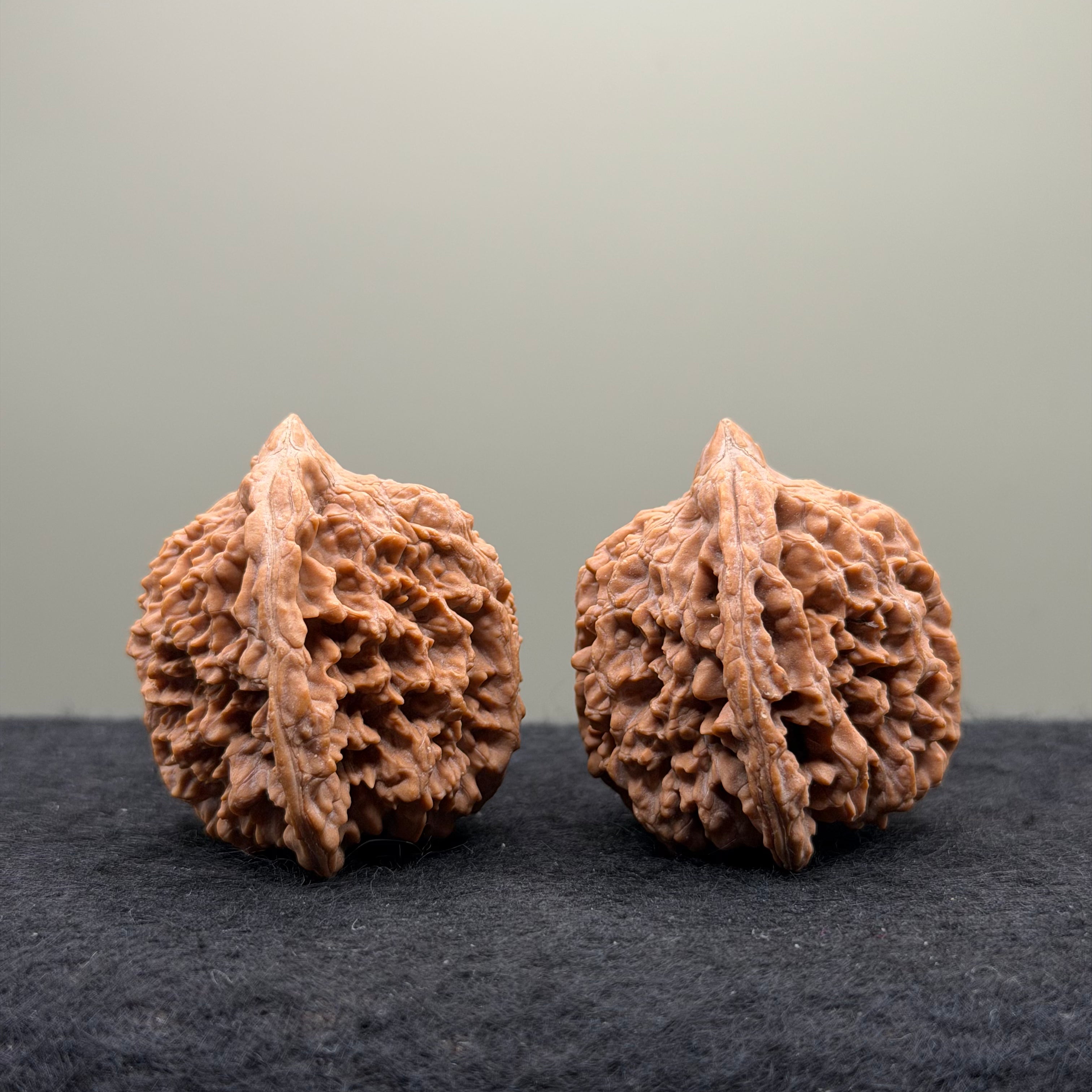 Starry Sky Wenwan Walnut