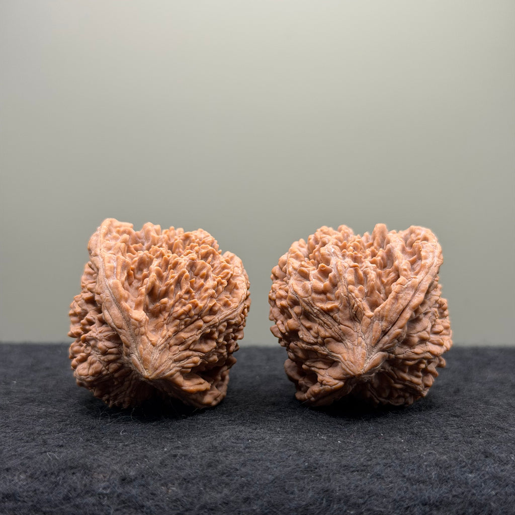 Starry Sky Wenwan Walnut