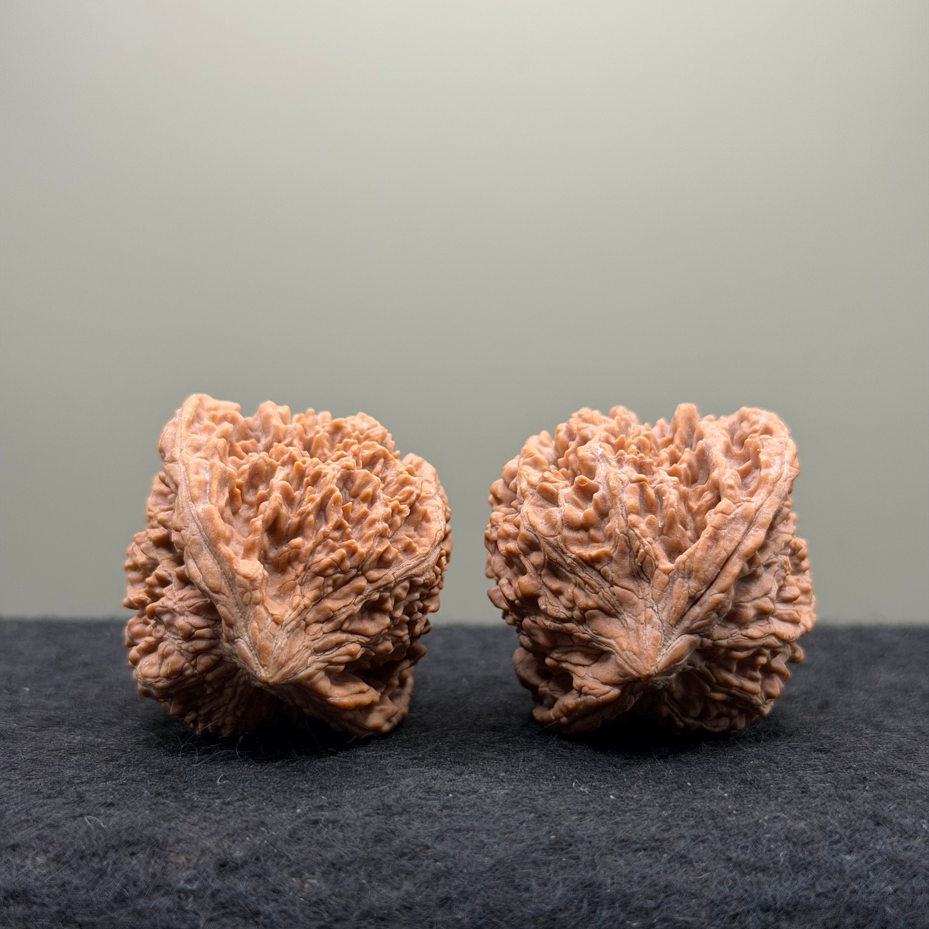 Starry Sky Wenwan Walnut