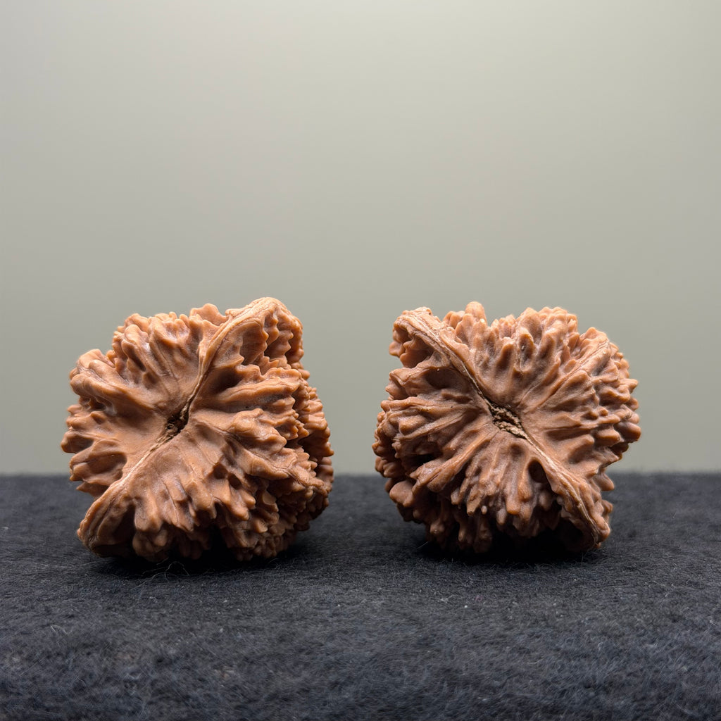 Starry Sky Wenwan Walnut