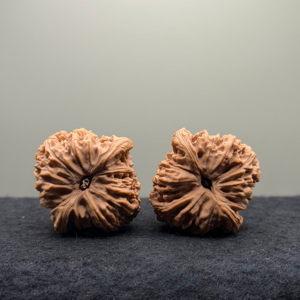 Nanjiang Ston Lion Head Wenwan Walnut