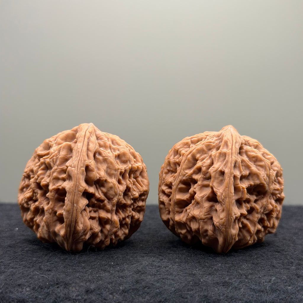 Nanjiang Stone Lion Head Wenwan Walnut