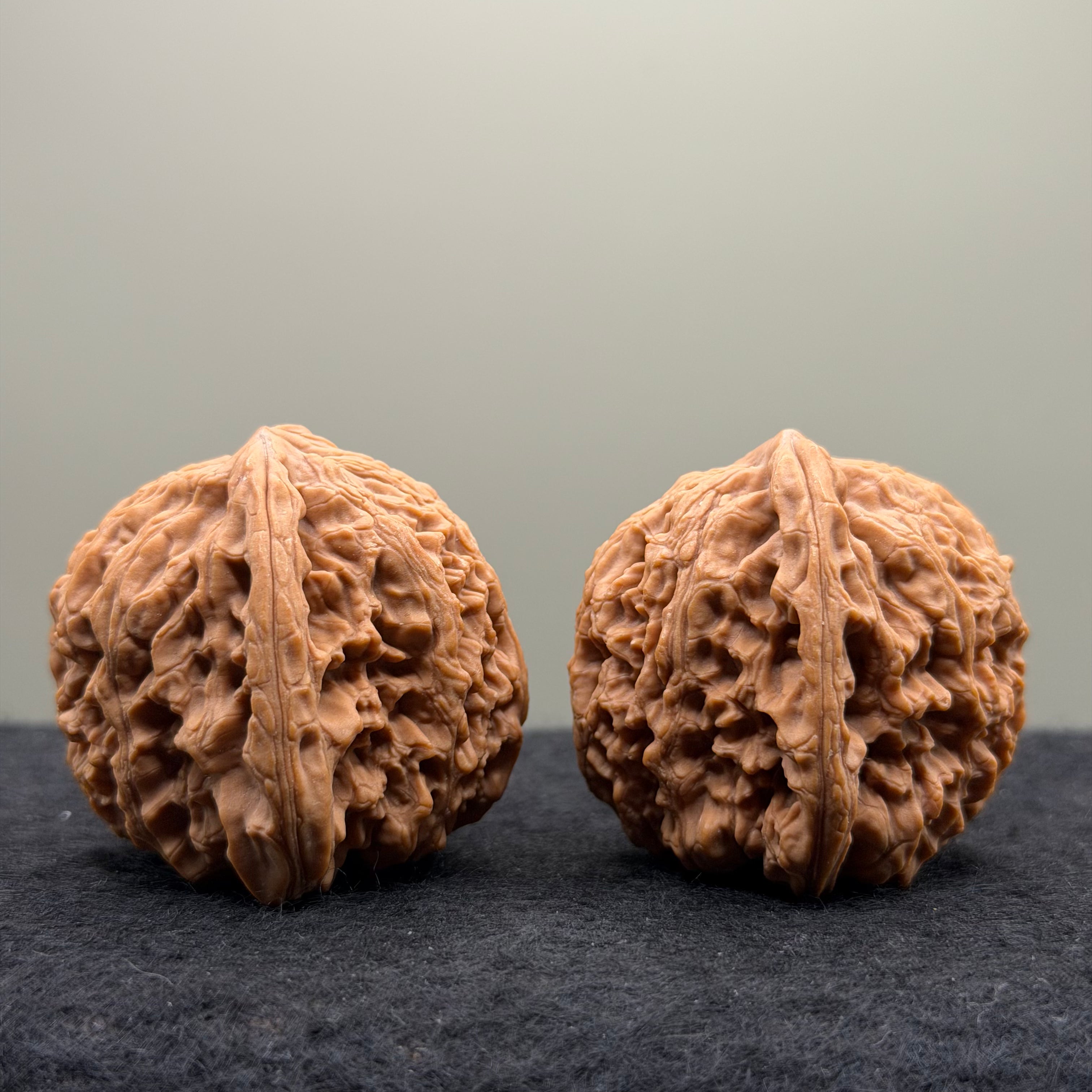 Nanjiang Stone Lion Head Wenwan Walnut