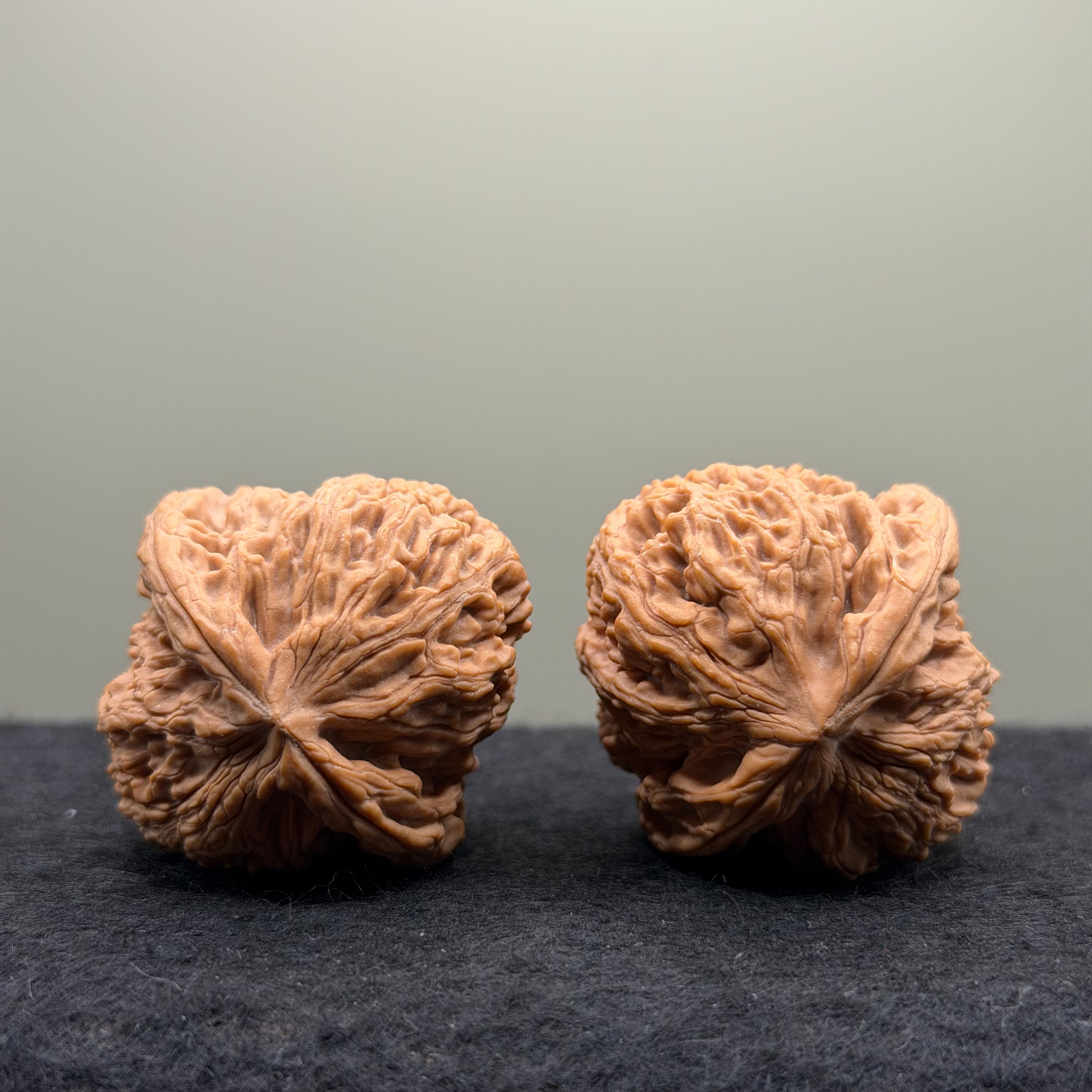Nanjiang Stone Lion Head Wenwan Walnut