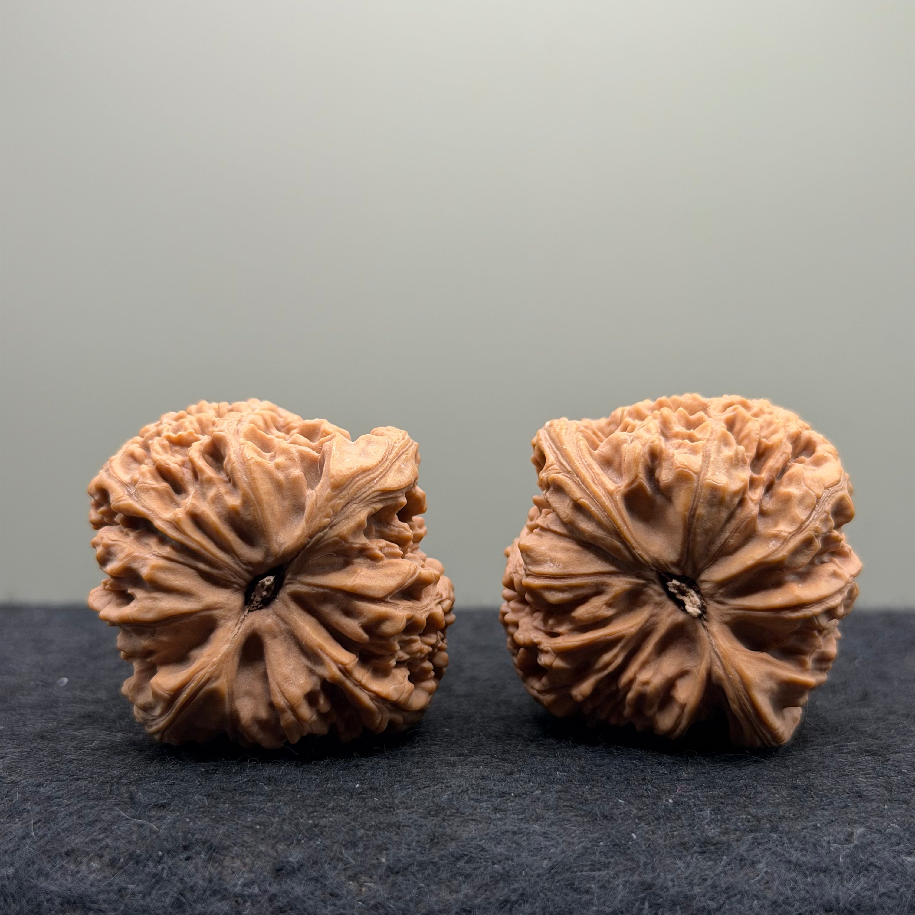 Nanjiang Stone Lion Head Wenwan Walnut