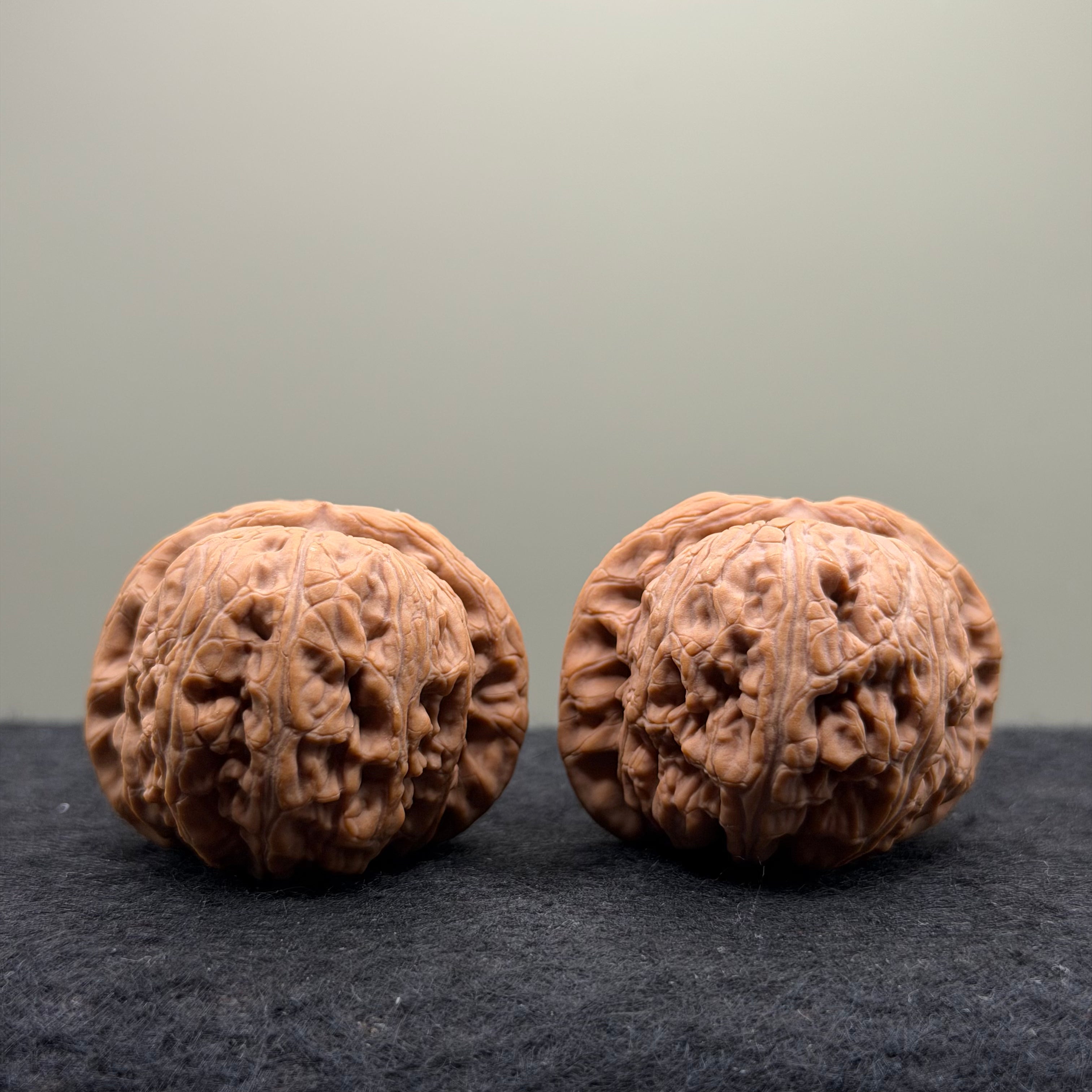Yuanbao Wenwan Walnut