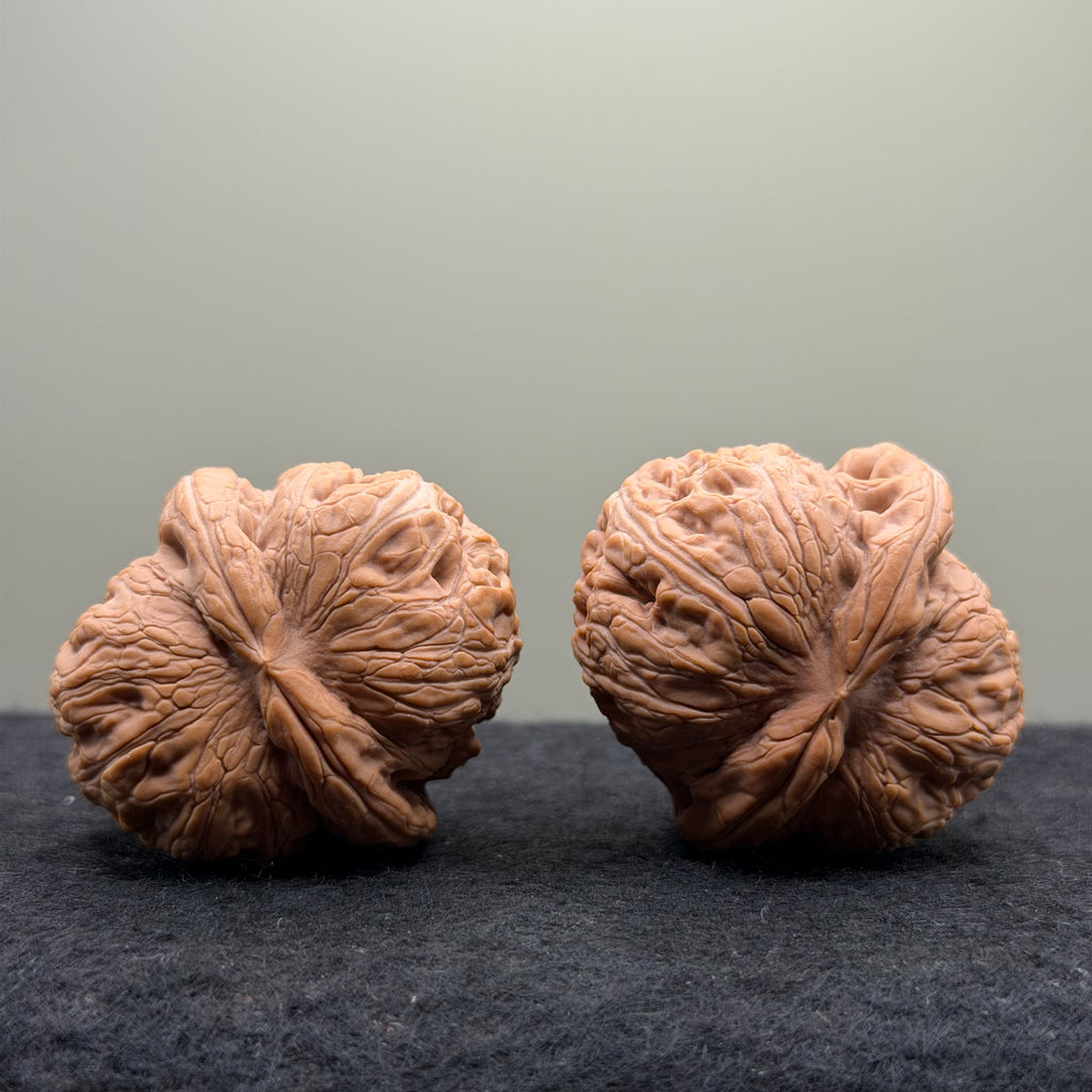 Yuanbao Wenwan Walnut