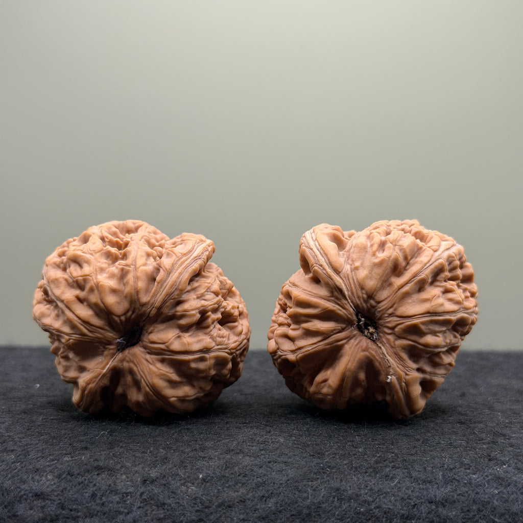 Yuanbao Wenwan Walnut