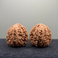 NanJiang Stone Lion Head Wenwan Walnut