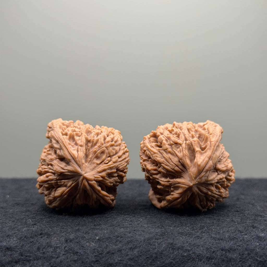 NanJiang Stone Lion Head Wenwan Walnut
