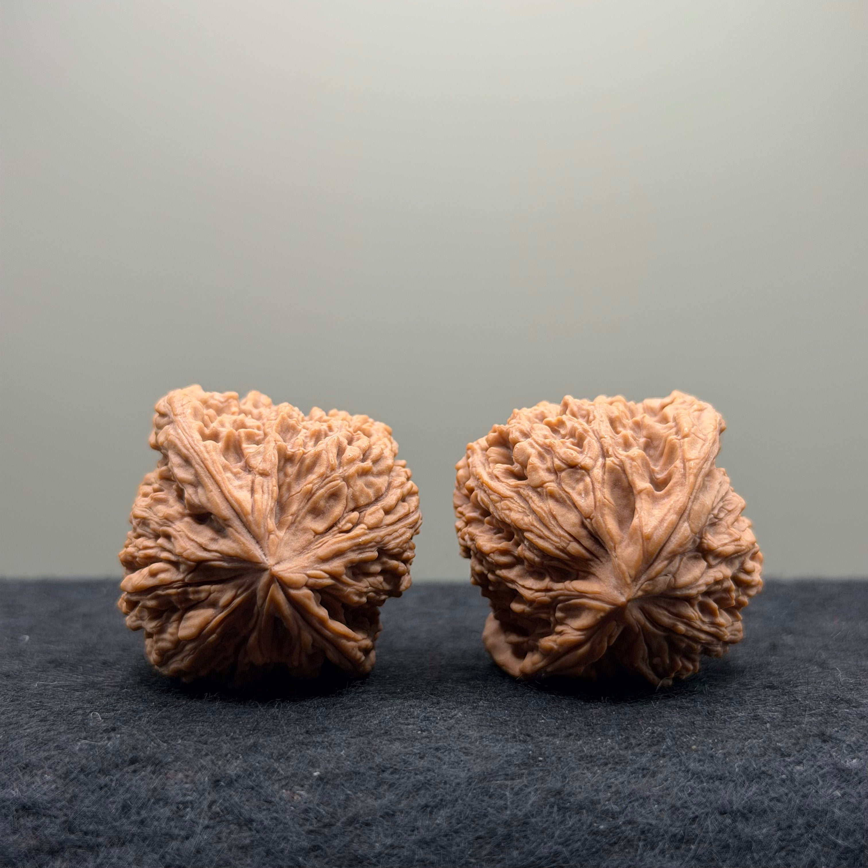 NanJiang Stone Lion Head Wenwan Walnut