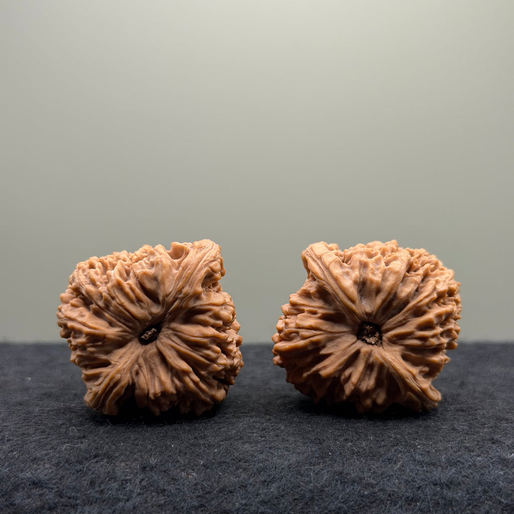 NanJiang Stone Lion Head Wenwan Walnut