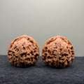 Nanjiang Stone Lion Head Wenwan Walnuts