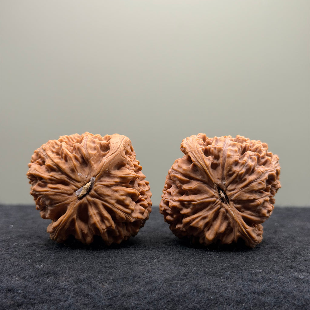 Nanjiang Stone Lion Head Wenwan Walnuts